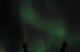 Rendendo homenagens ao nosso mais belo show cósmico, a Aurora Boreal na noite sem lua em Tok, no Alaska